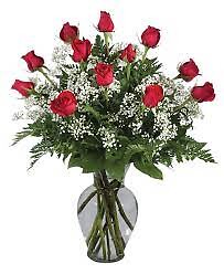 12 red roses with baby&#039;s breath